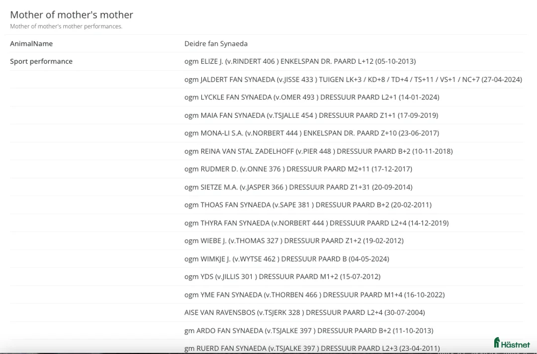 Allround hästar till salu: Sirius en lyxig drömhäst - Annons 10
