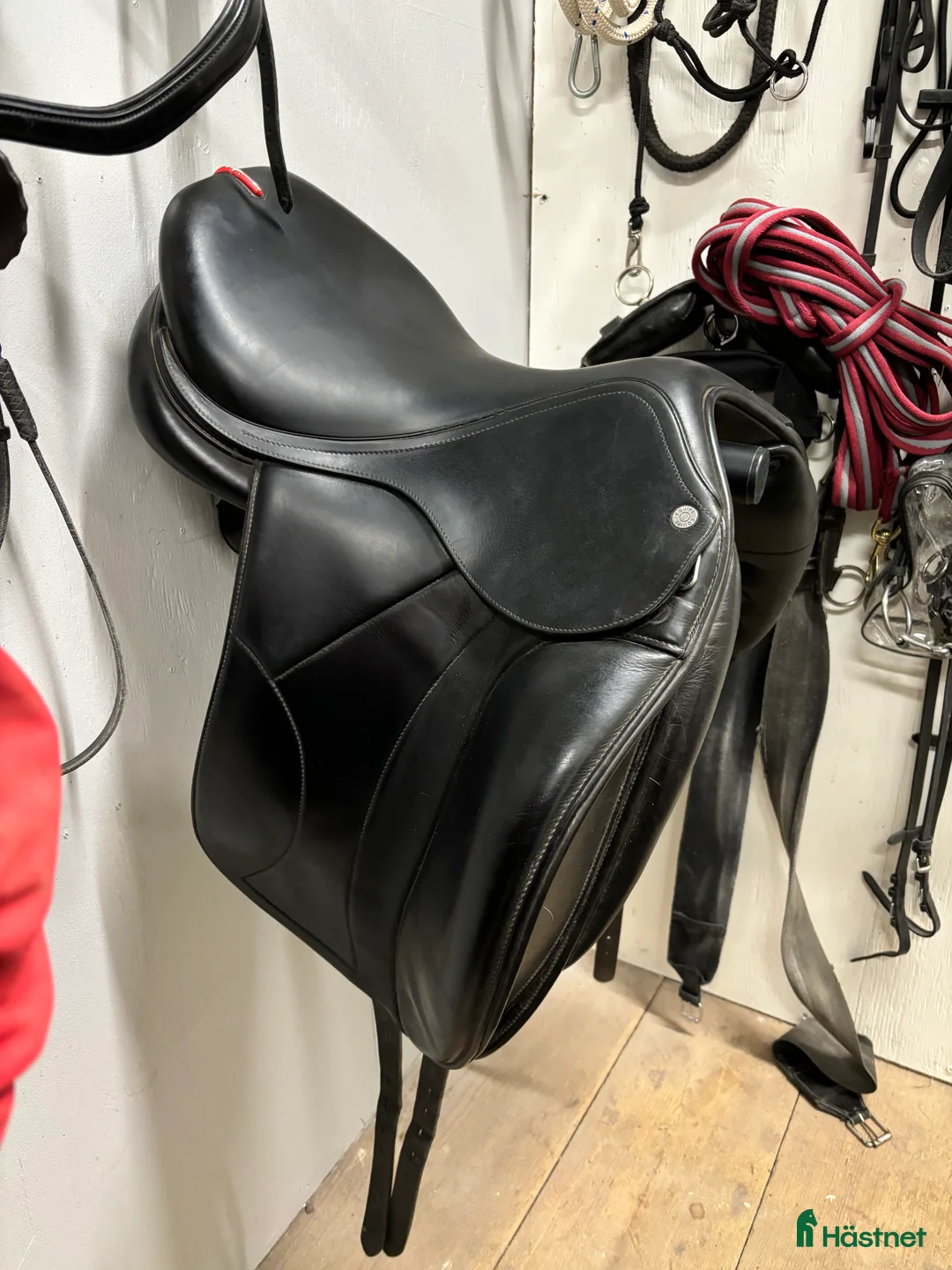 Sadlar hästutrustning till salu: Equipe ice eva i Sturefors - Annons 1