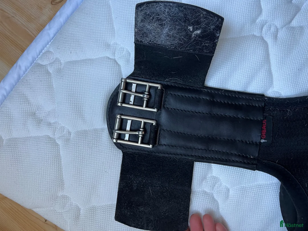 Sadeltillbehör hästutrustning till salu: ELT dressyrgjord 65 cm - Annons 6