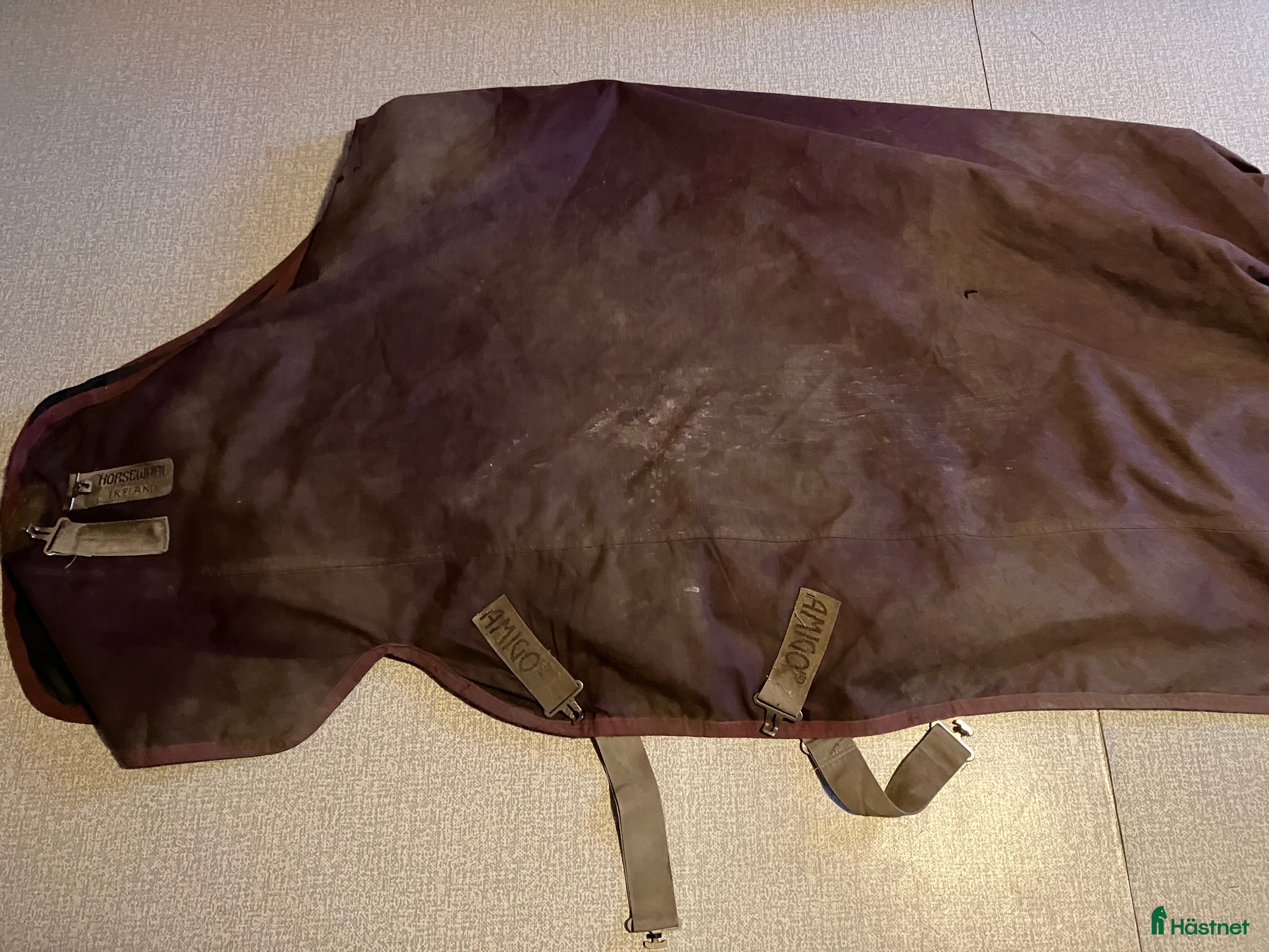 Täcken hästutrustning till salu: Amigo Horseware - Annons 20