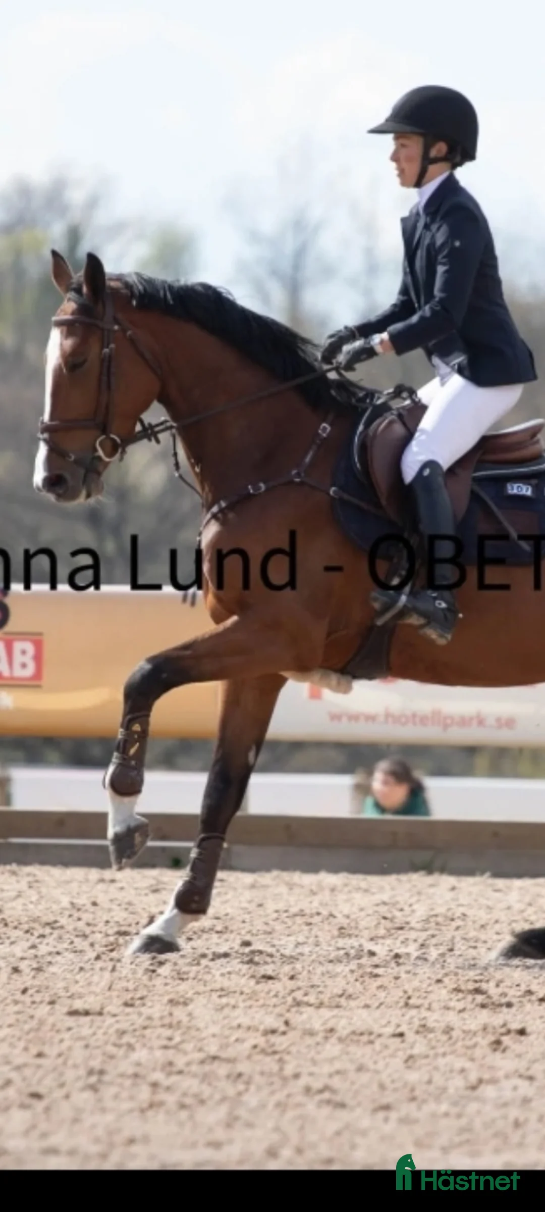 Hoppning hästar till salu: 5-årigt sto med enorm personlighet och potential  - Annons 2