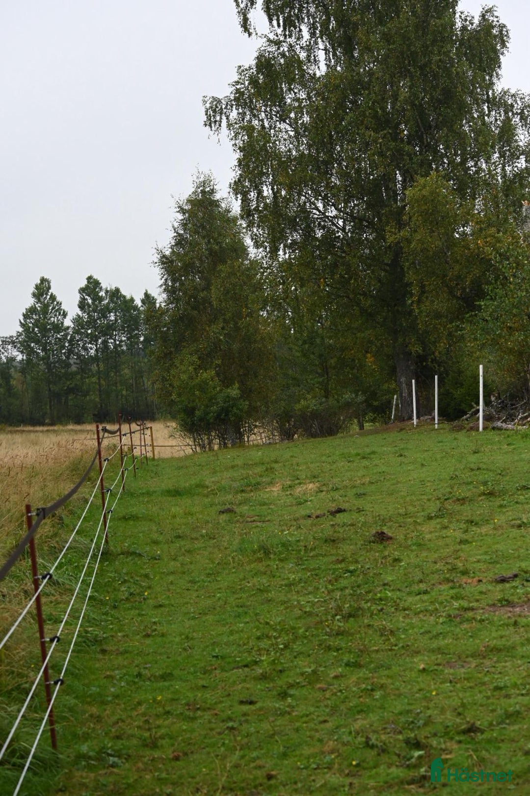  stallplats finnes: Två lediga stallplatser i kollektivstall, Karlstad i Karlstad - Annons 5