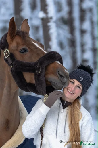 Galleribild {{count}}