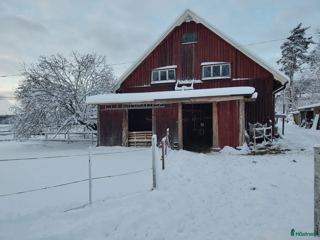  stallplats finnes: Två-Tre stallplatser i Tungelsta uthyres.  - Annons 8