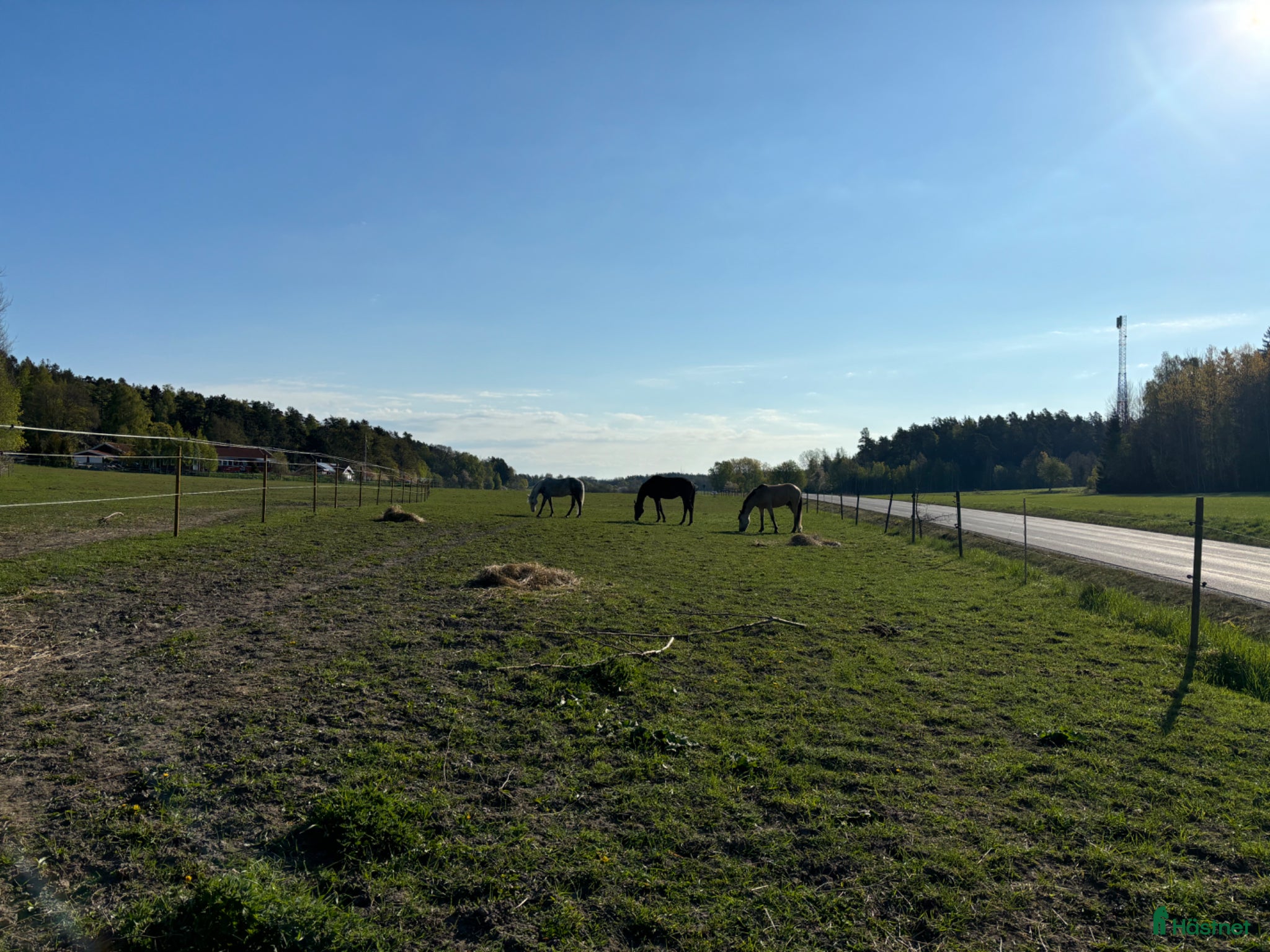  stallplats Ledig stallplats i fantastisk miljö!  - Annons 9