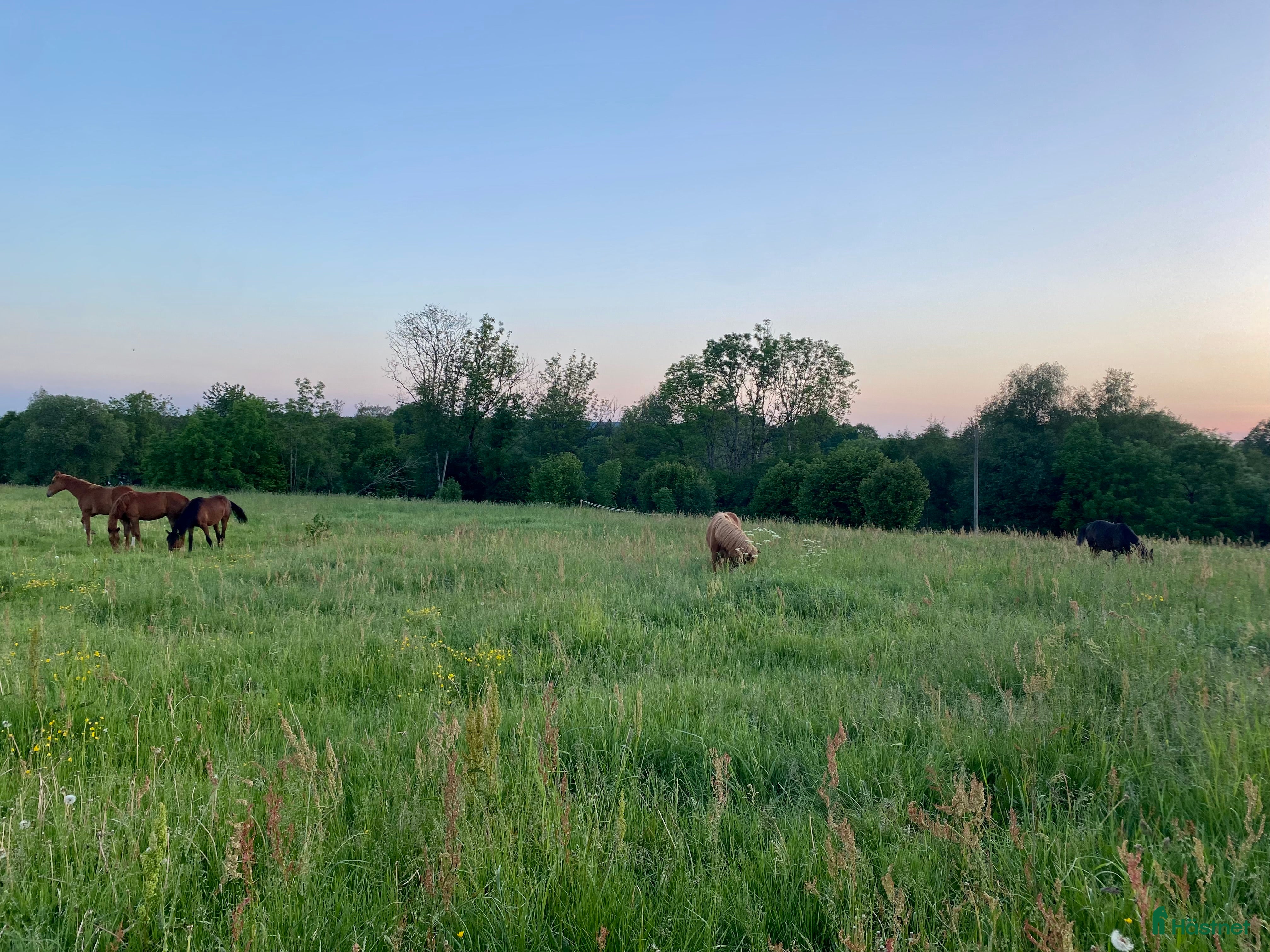  stallplats Inackordering - Annons 8