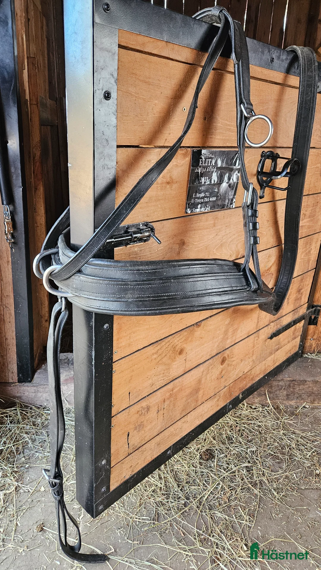 Körselar körning till salu: Kraftig maratonbrösta körsele - Annons 2