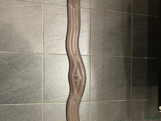 Sadeltillbehör hästutrustning till salu: Cheval sadelgjord i Värnamo - Annons 1