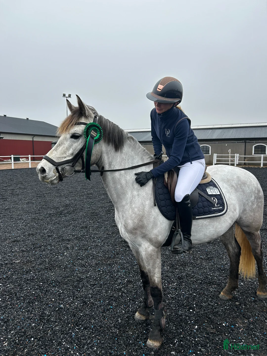 Hoppning hästar till salu: Kvalitetsponnyer och bästa vänner - Annons 5