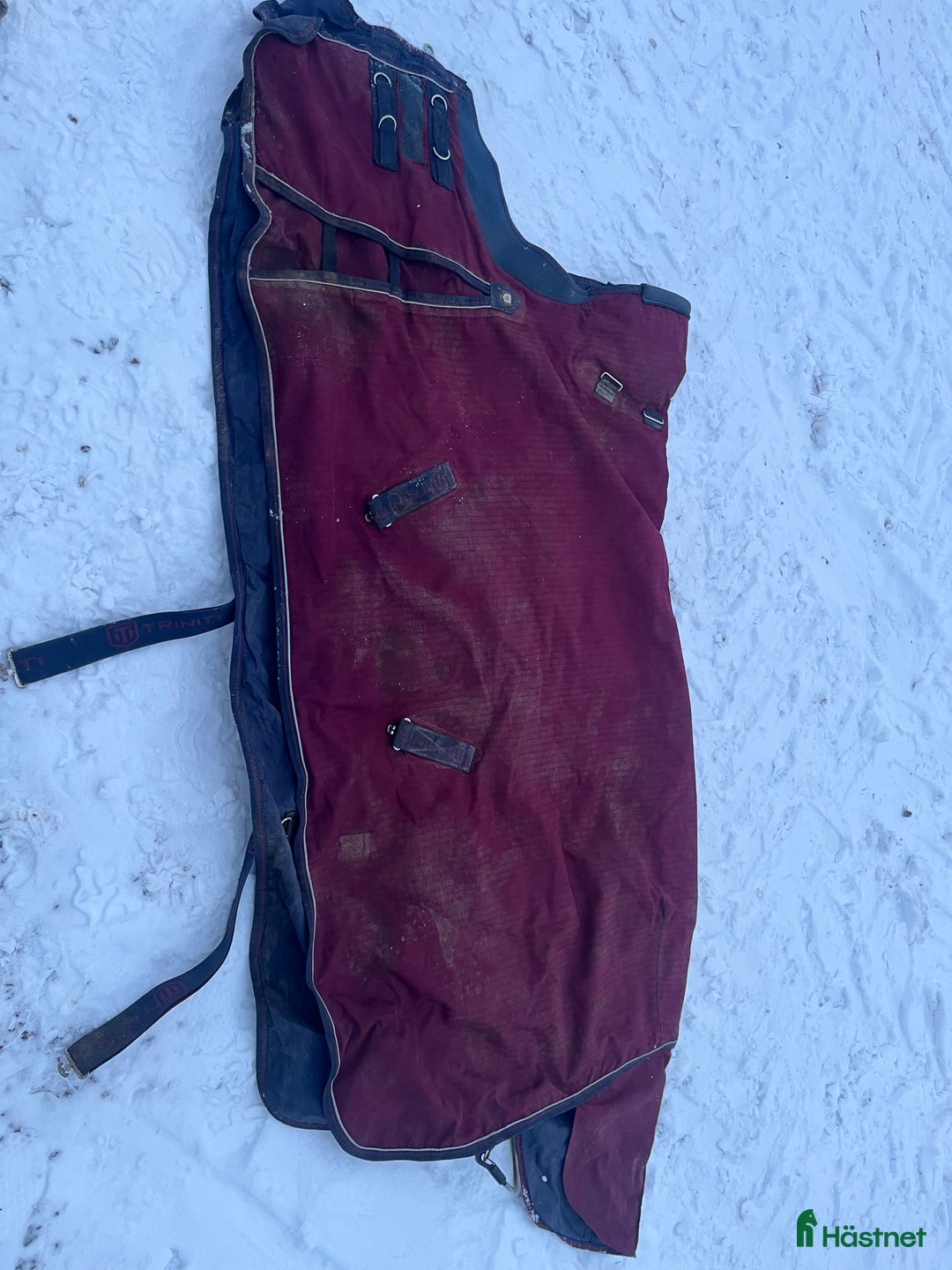 Täcken hästutrustning till salu: Täcken  i Södertälje - Annons 9