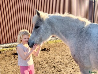 hästar Supersnäll c-ponny i Säve - Annons 16