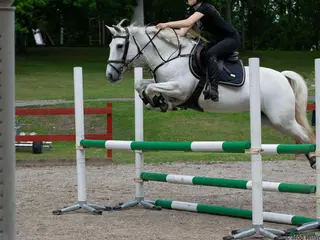 hästar Trevlig ponny säljes i Värnamo - Annons 16