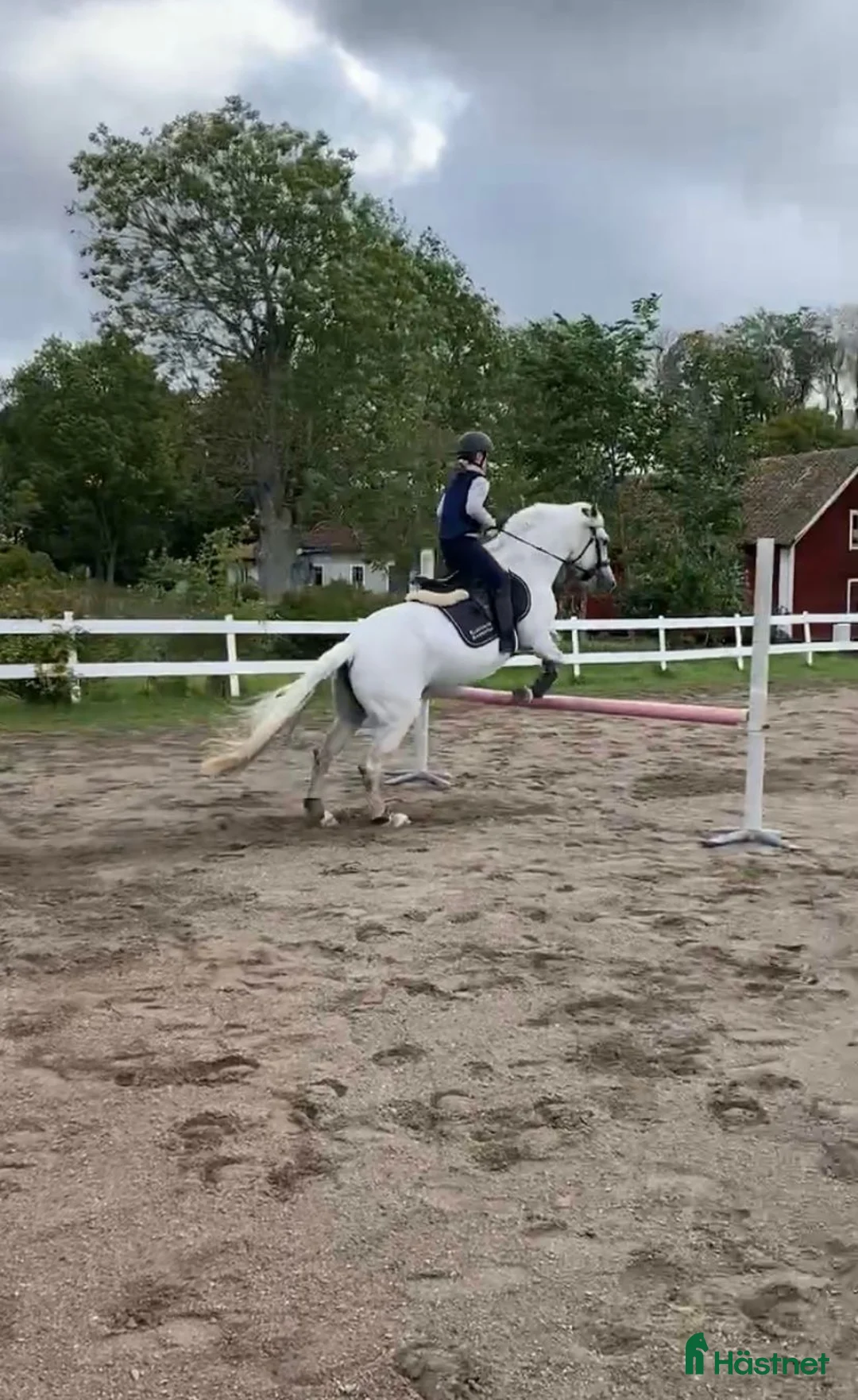  stallplats finnes: Stallplats  i Enköping - Annons 6