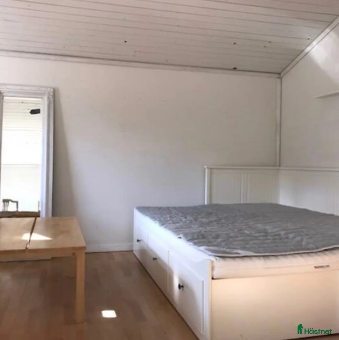  stallplats finnes: Boende på liten hästgård /stallhjälp  i Sorunda - Annons 3