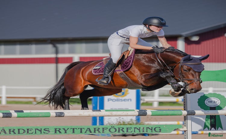  hästar Välhoppande sto  i Lerdala - Annons 1