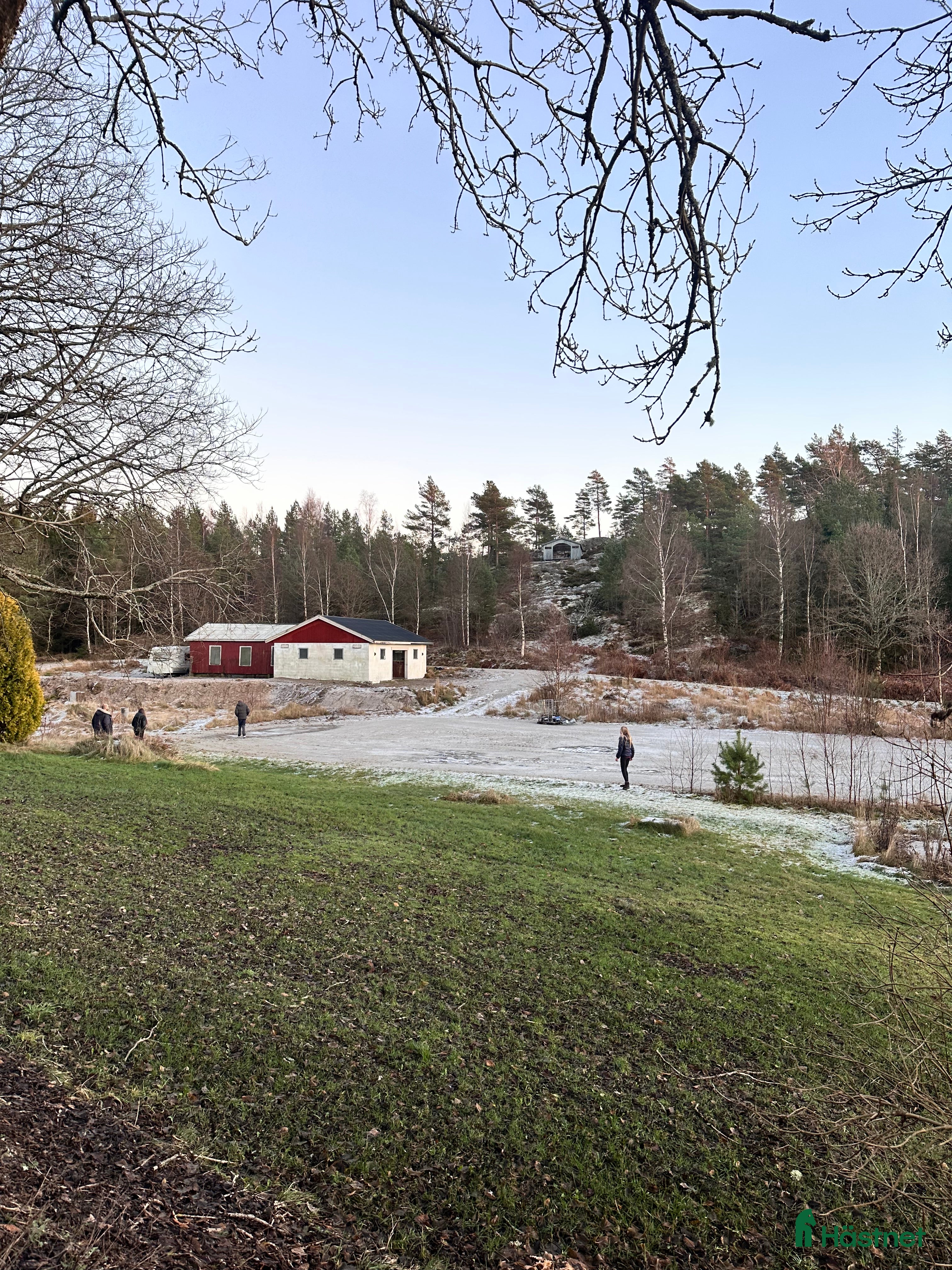 Allround hästar sökes: Hest ønskes kjøpt! i Strömstad - Annons 2