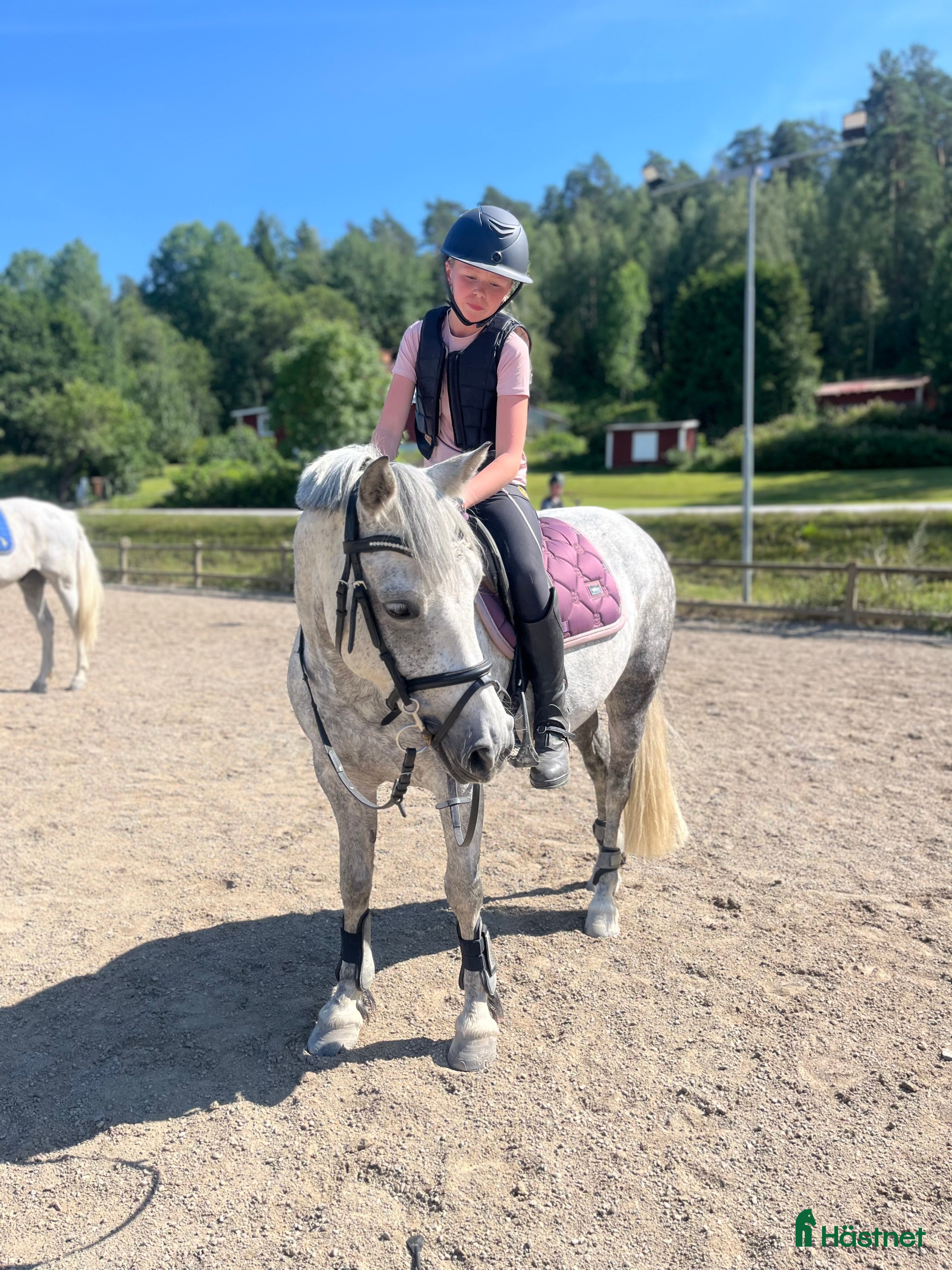  hästar Fantastisk C-ponny säljes. i Grödinge - Annons 1