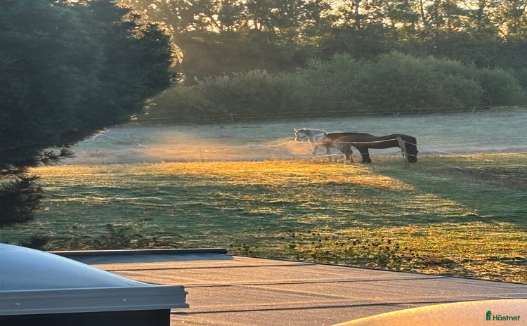  stallplats i Svedala - Annons 16