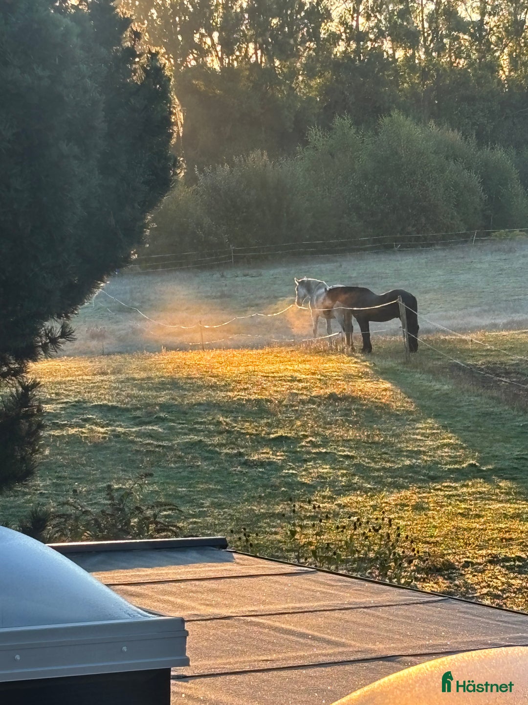  stallplats finnes: Lösdrift i Svedala - Annons 1