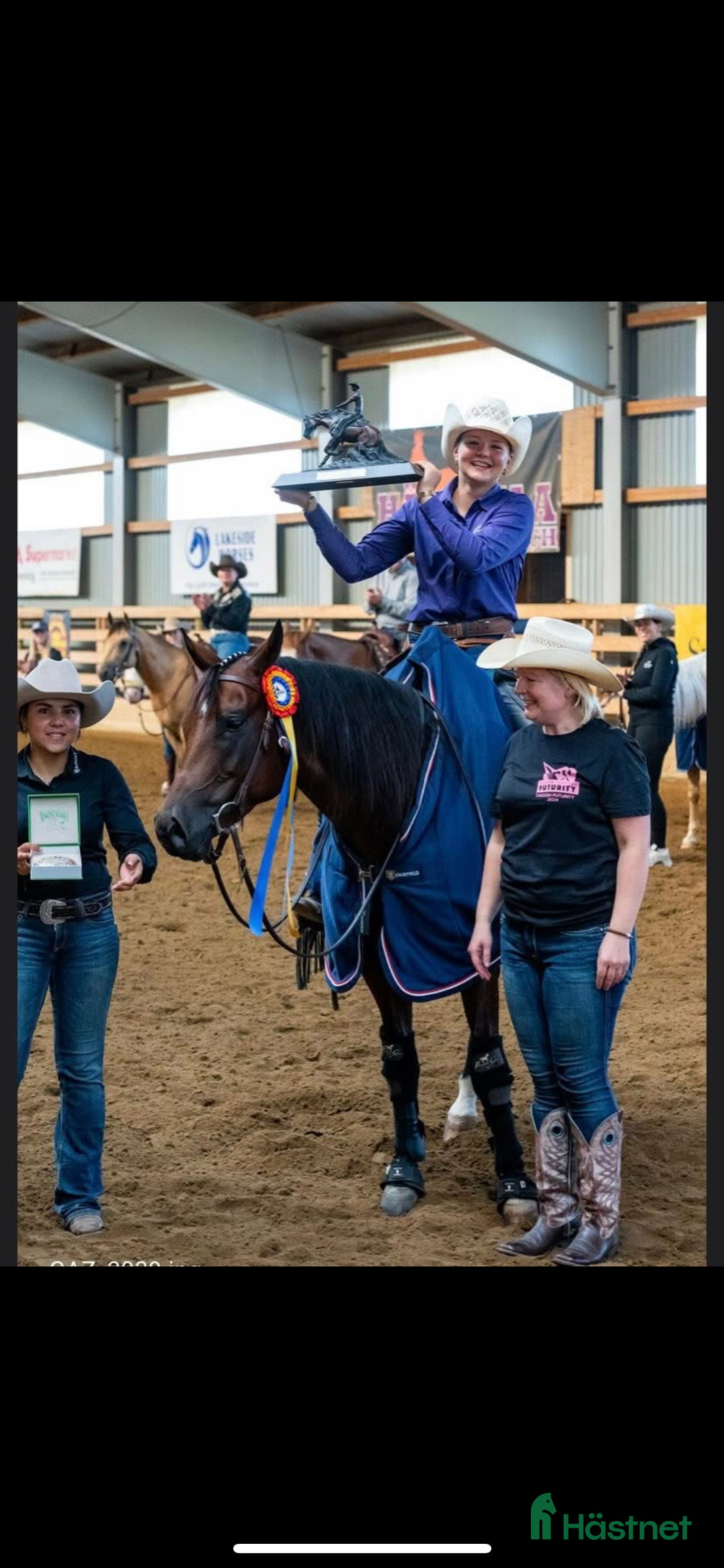 Western hästar till salu: Läromästare  i Häljarp - Annons 4
