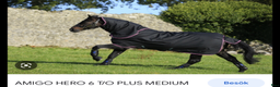Täcken hästutrustning till salu: Amigo Hero 155cm 200g  i Lund - Annons 1