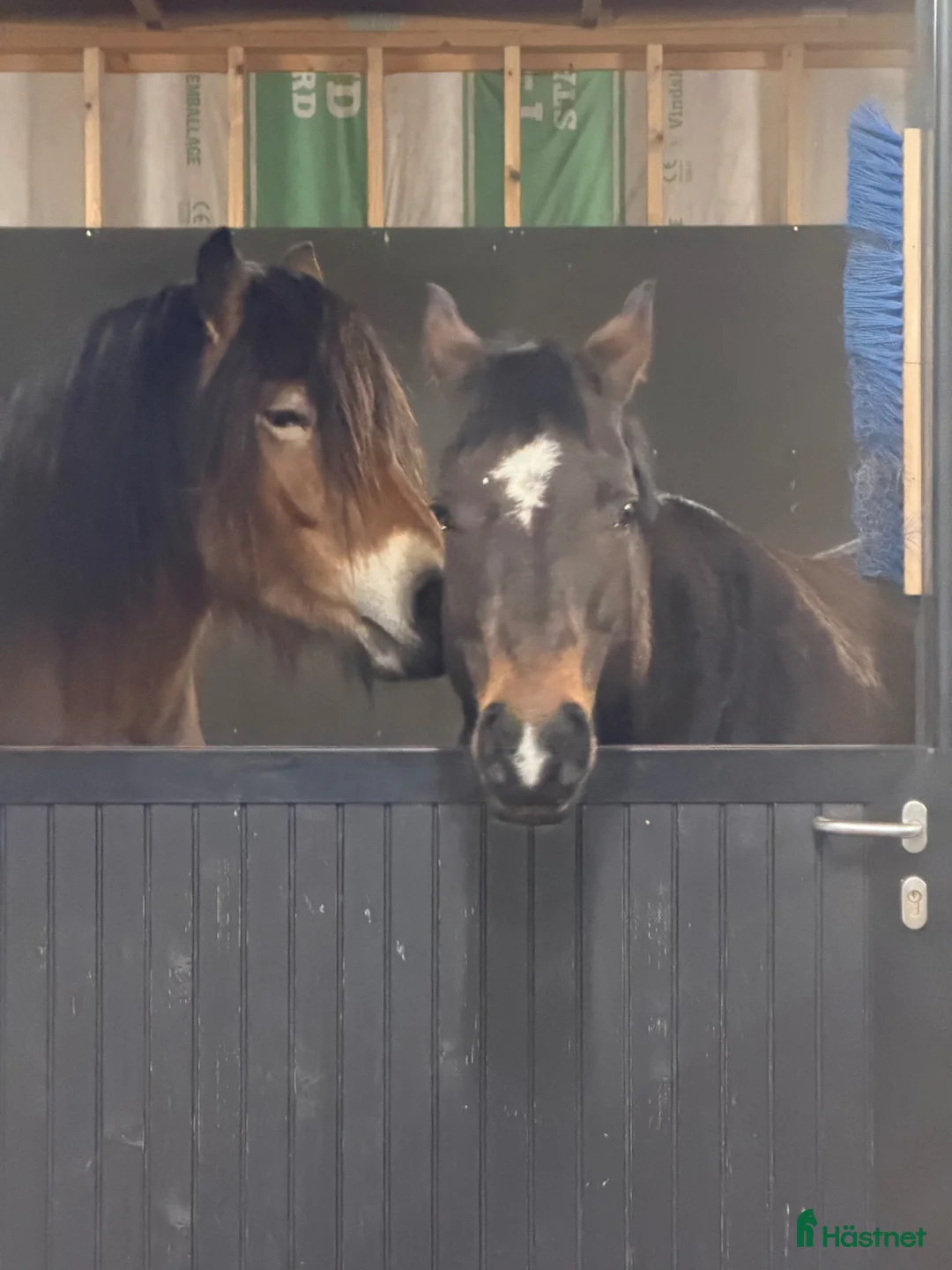  stallplats finnes: Plats i lösdrift för belöningsbaserat ekipage i Almunge - Annons 1