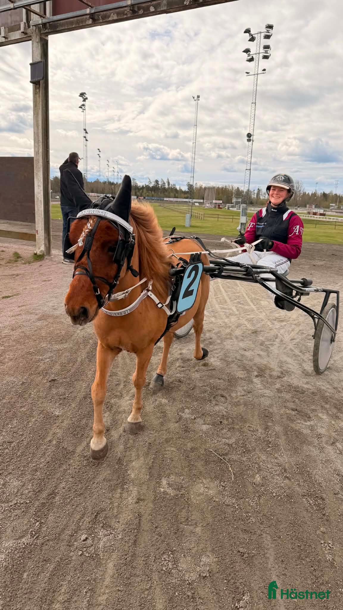  hästar Uppdaterad annons! Shetlandsponny söker nytt hem - Annons 7