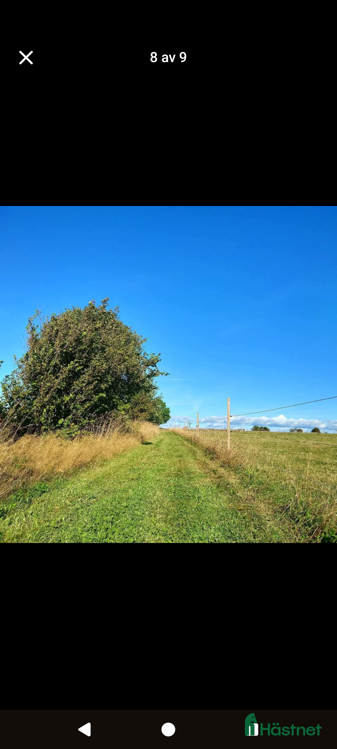  stallplats finnes: Stallplats Bjärehalvön Båstad  i Båstad - Annons 5