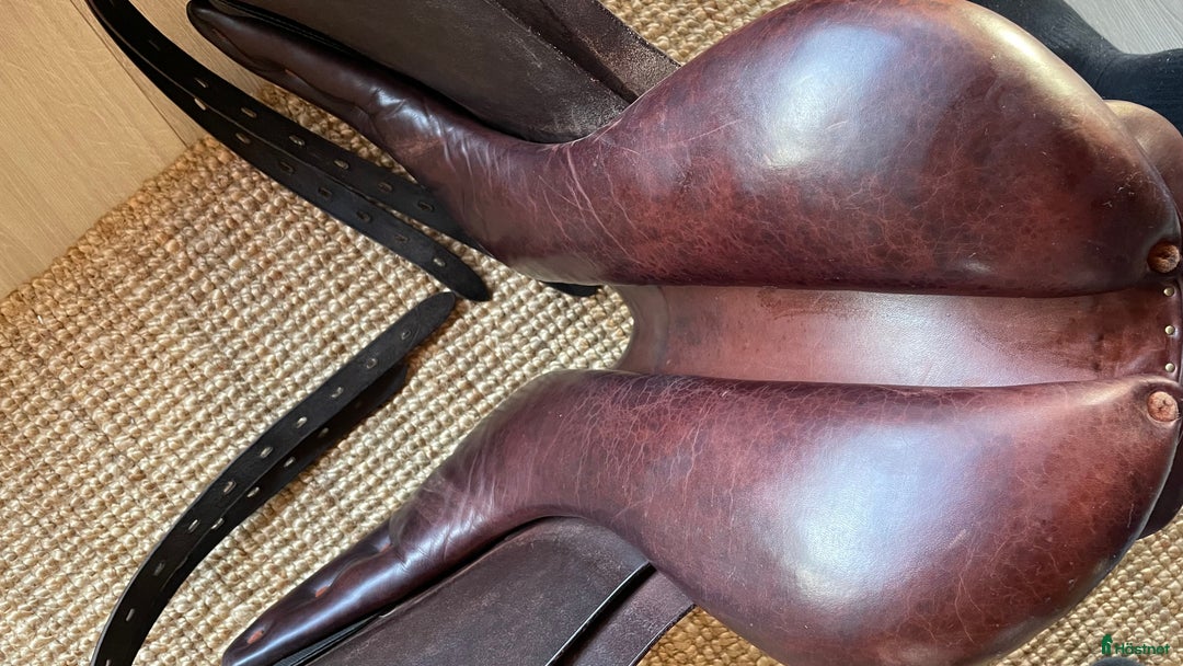 Sadlar hästutrustning till salu: Cobra dressyrsadel- skönaste sadeln! i Onsala - Annons 8