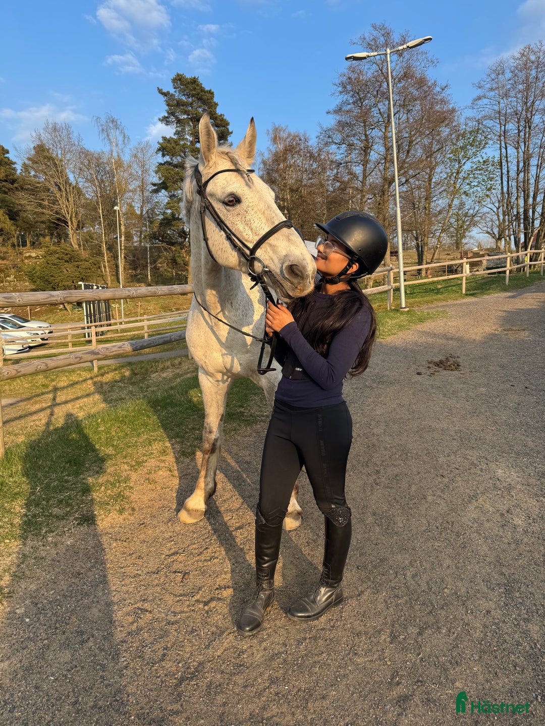  foderhäst sökes: Söker foderhäst i Jönköping - Annons 1