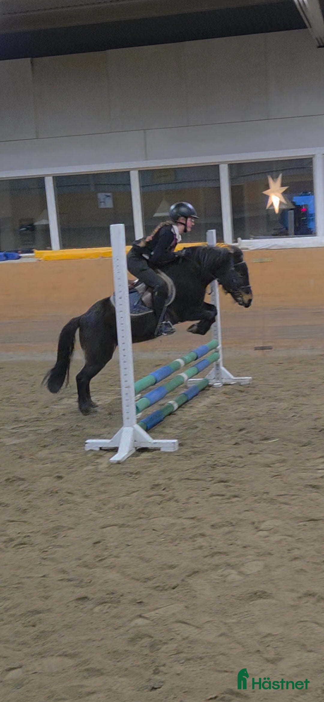 Allround hästar till salu: Supersnäll barnponny i Vintrosa - Annons 5