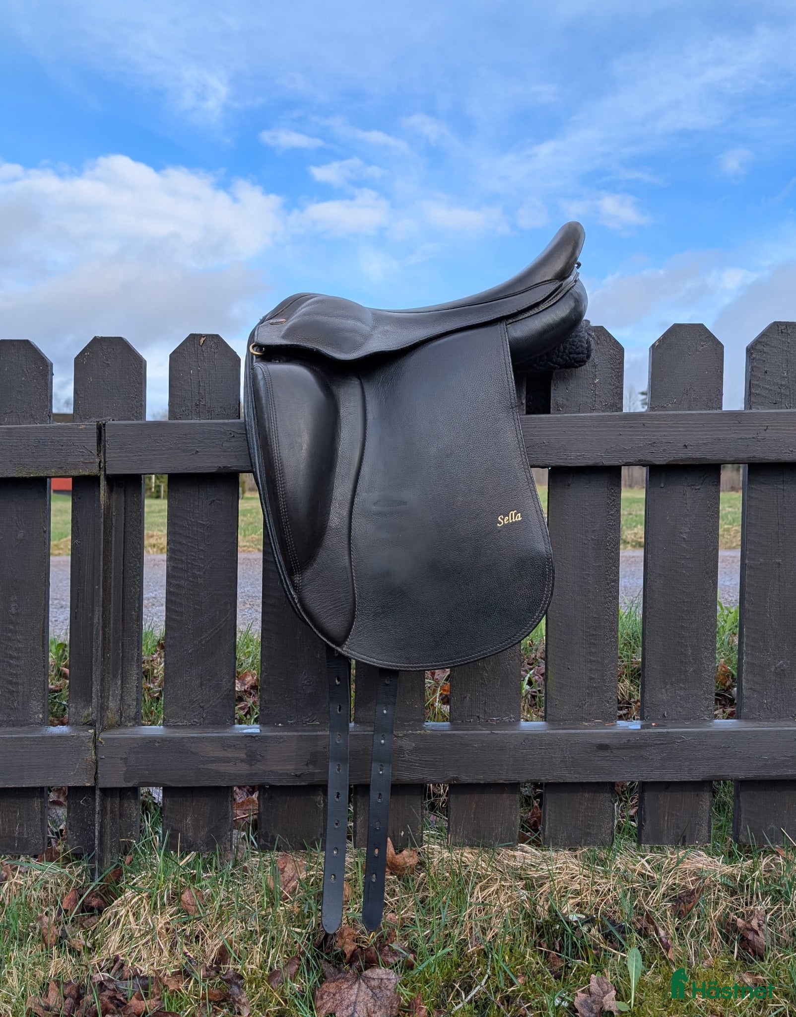 Sadlar hästutrustning Eques Sella 16.5" - Annons 4
