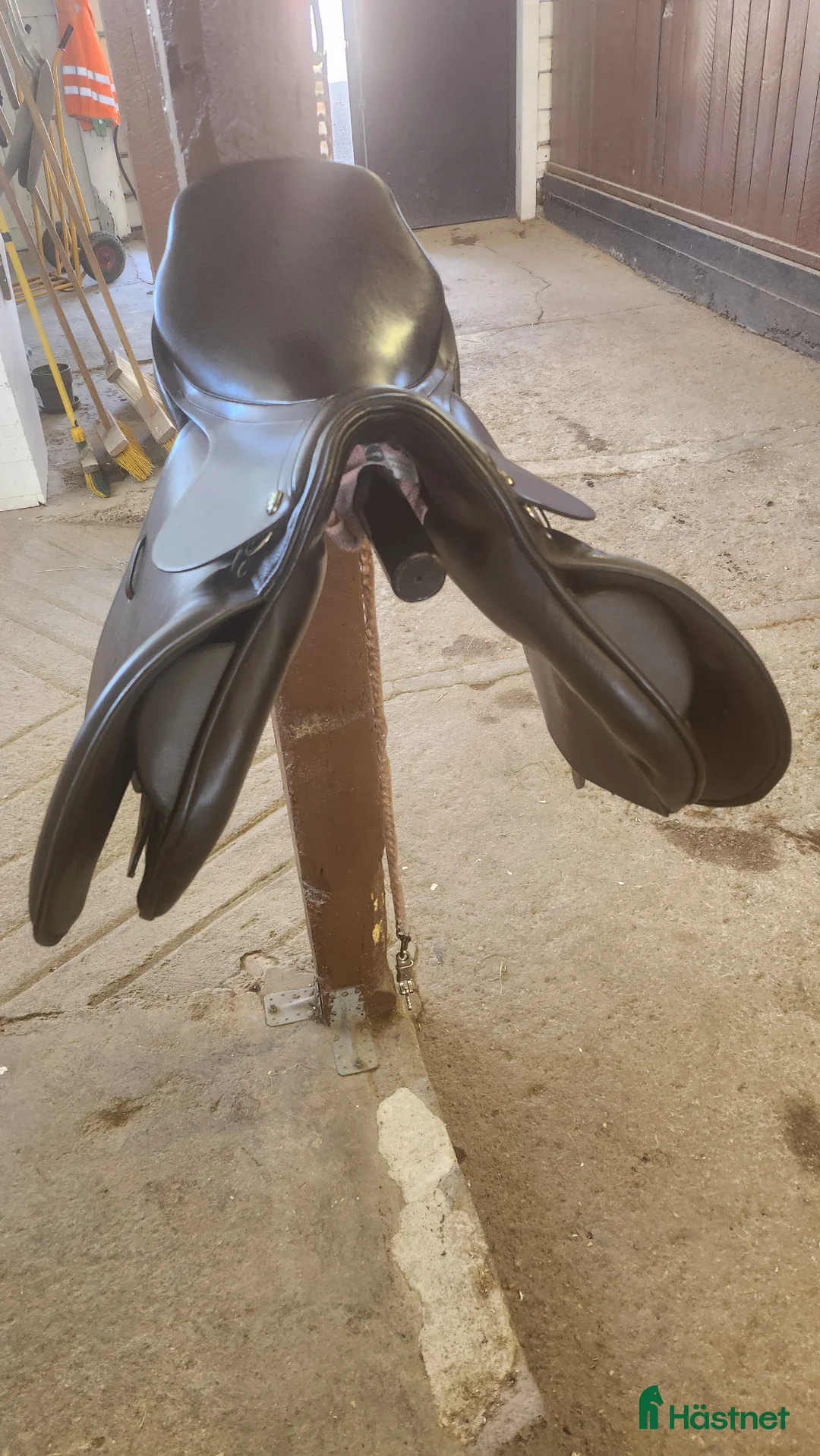 Sadlar hästutrustning till salu: PFIFF GOTTHARDT - Annons 2