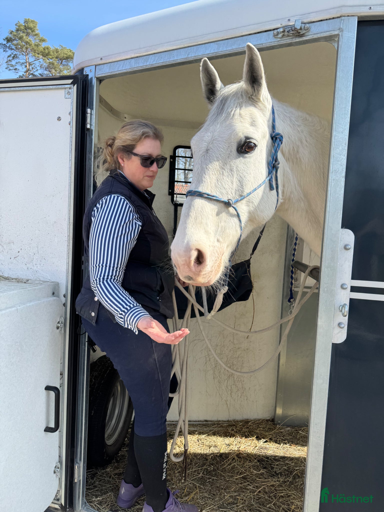  hästar Cool och snäll kille - Annons 1