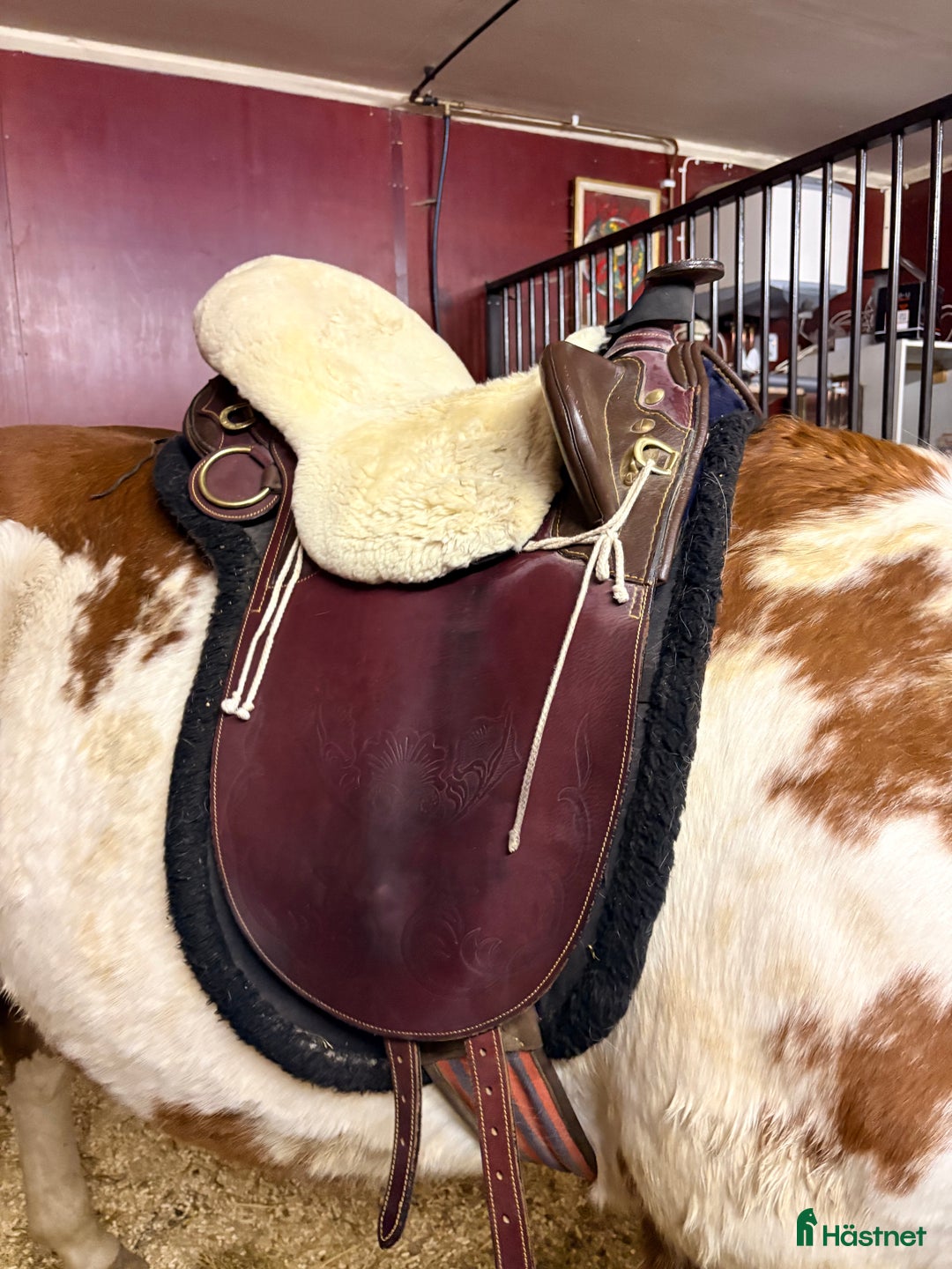 Sadlar hästutrustning till salu: Stocksadel med horn extremt bekväm  i Habo - Annons 2