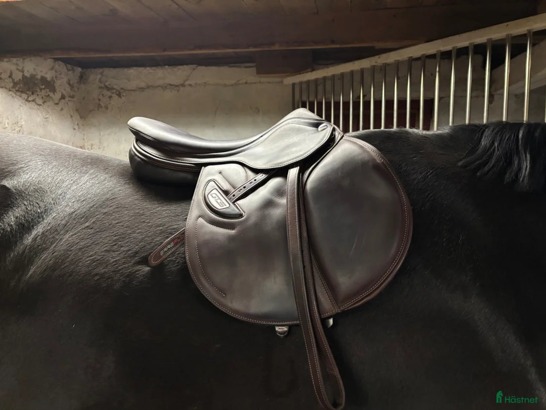 Sadlar hästutrustning till salu: Mycket fin Erreplus sadel - Annons 2