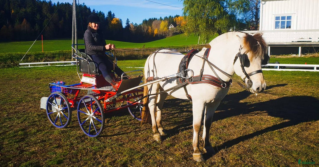 Galleribild {{count}}