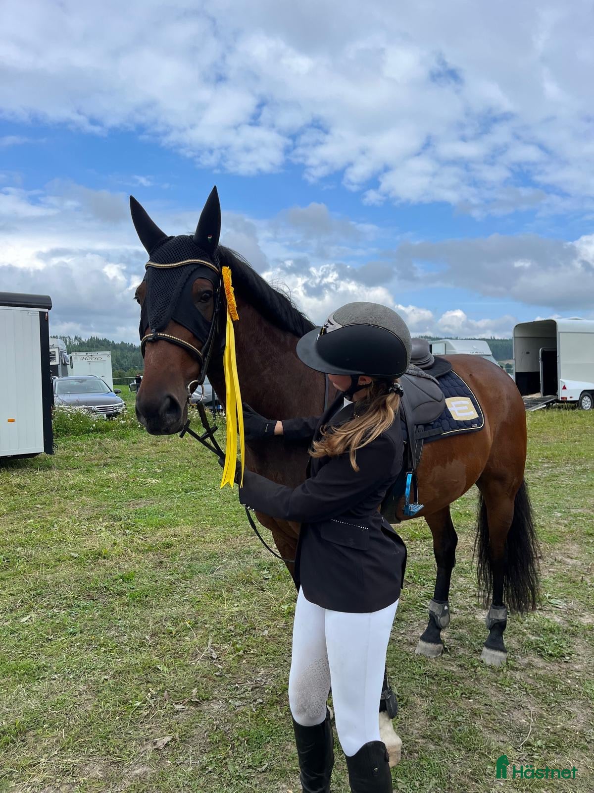  hästar Snäll valack - Annons 2