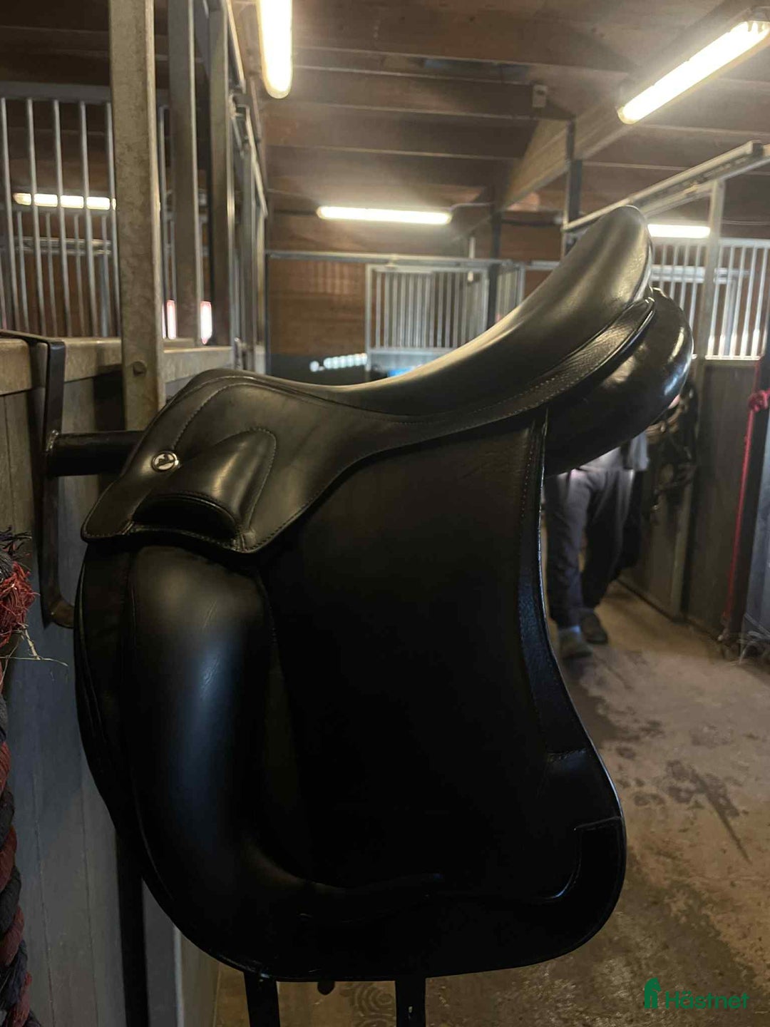 Sadlar hästutrustning till salu: Prestige Denni i Ärla - Annons 2