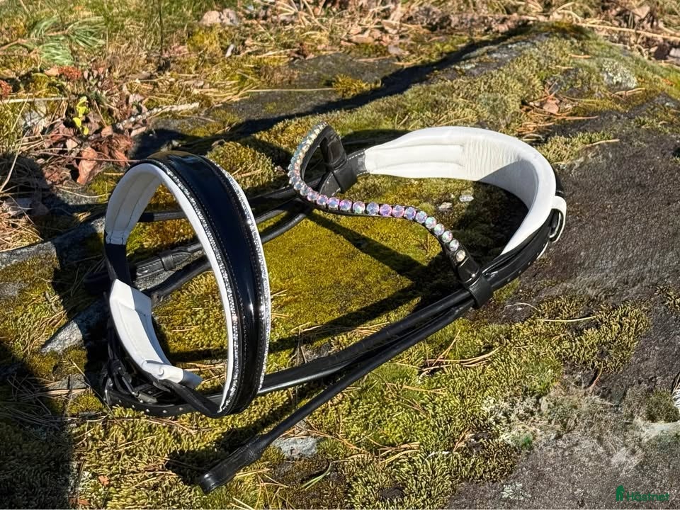 Träns hästutrustning Fint träns med lack/strass - Annons 2