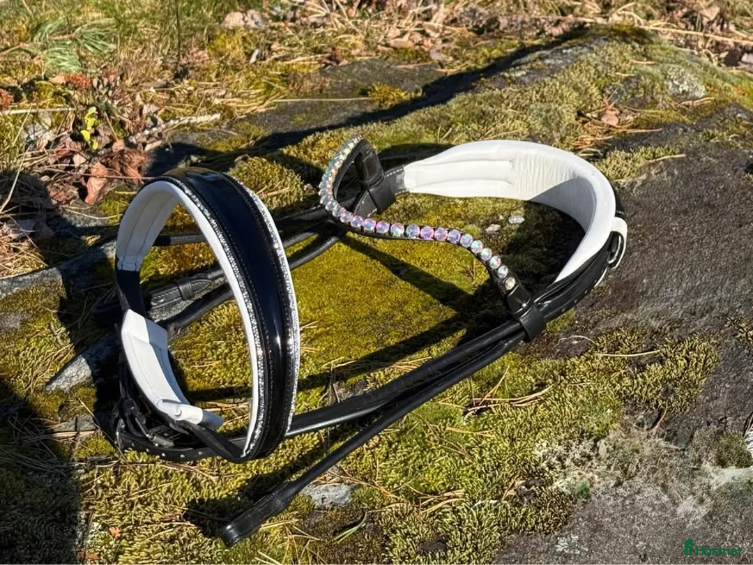 Träns hästutrustning till salu: Fint träns med lack/strass - Annons 1