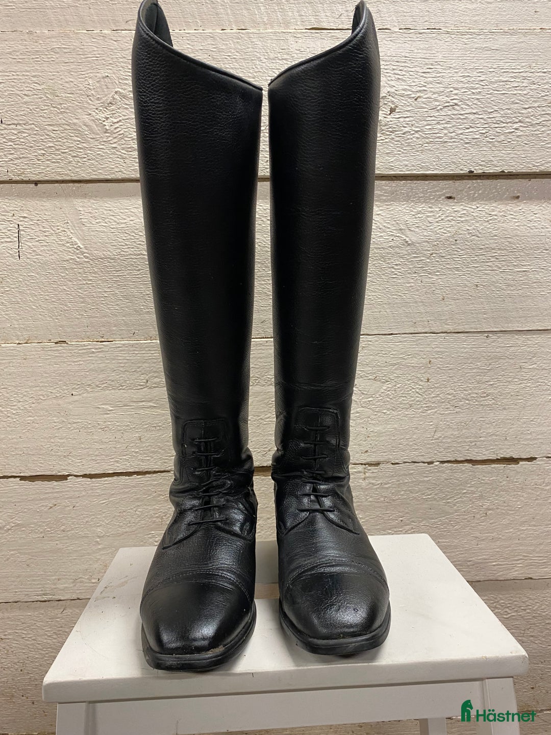 Ridstövlar ryttarutrustning till salu: Ridstövel Amadora i Njurunda - Annons 3