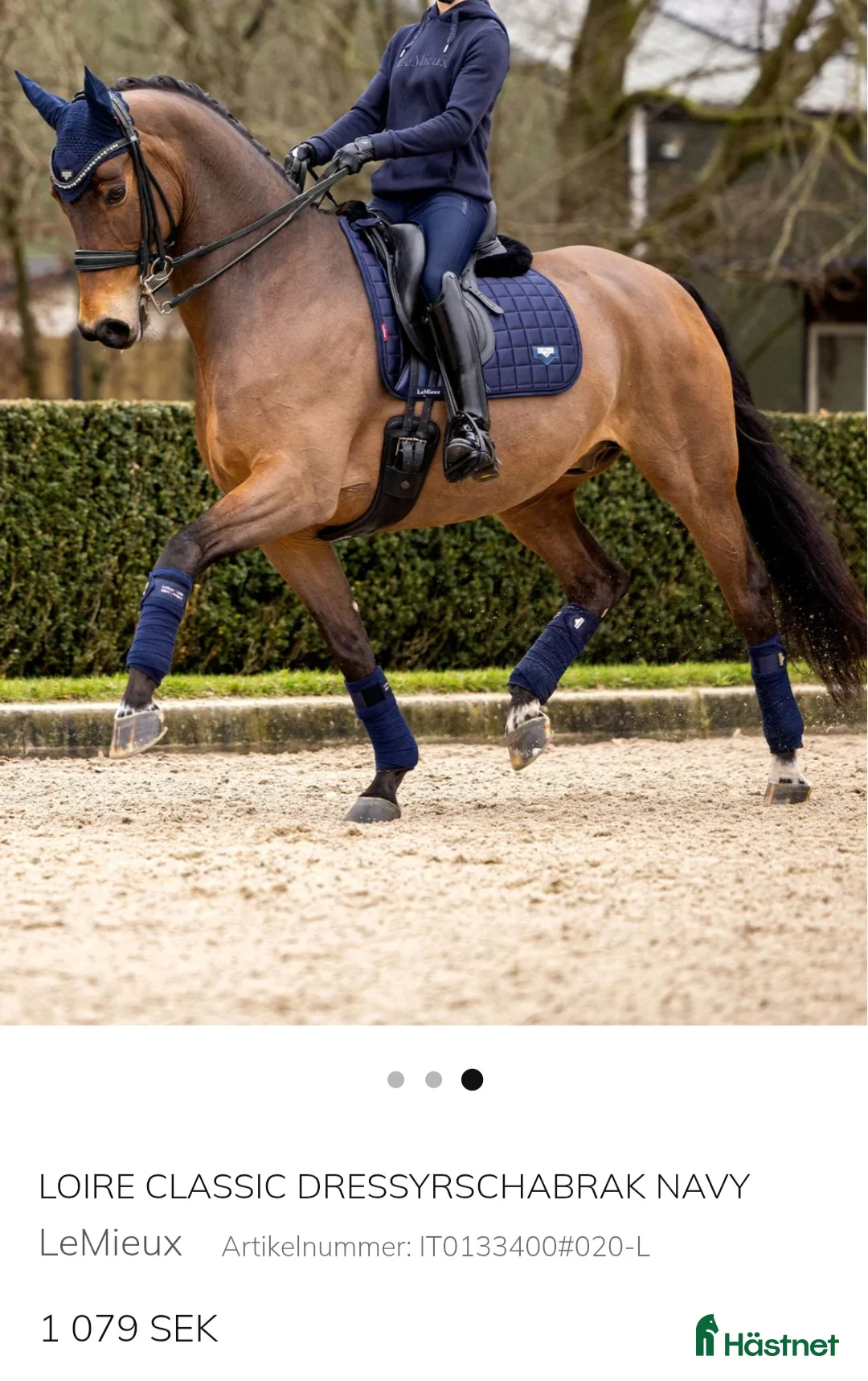 Schabrak & Vojlockar hästutrustning till salu: Lemieux dressyrschabrak Full - Annons 2