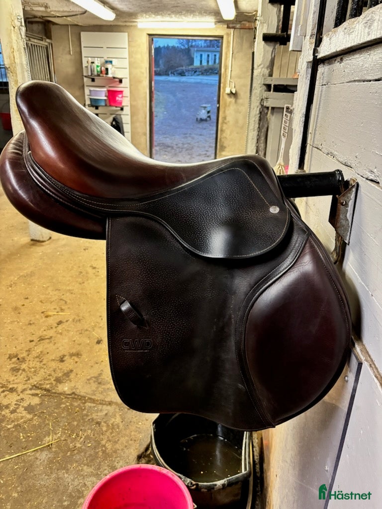 Sadlar hästutrustning Välvårdad CWD sadel 17 tum  - Annons 1