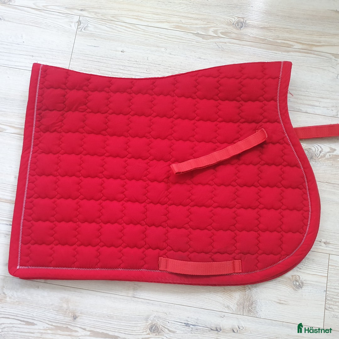 Schabrak & Vojlockar hästutrustning till salu: John Whitaker hoppschabrak Full  i Tranås - Annons 2