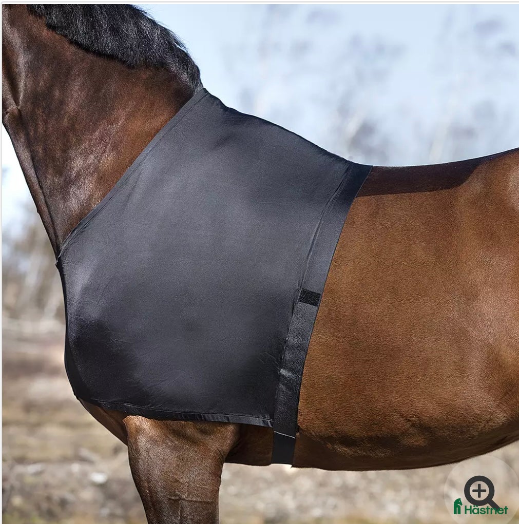 Övrig Hästutrustning hästutrustning Helt nytt bogskydd, stl COB - Annons 1