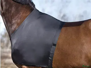 Övrig Hästutrustning hästutrustning Helt nytt bogskydd, stl COB - Annons 1