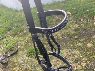 Träns hästutrustning till salu: Fint svart träns i Skövde - Annons 15