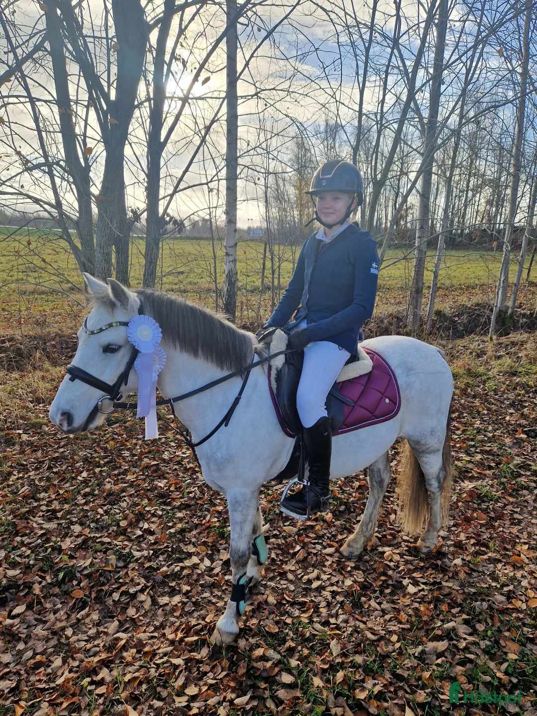  foderhäst sökes: Söker c eller d-ponny till min dotter i Kumla - Annons 1