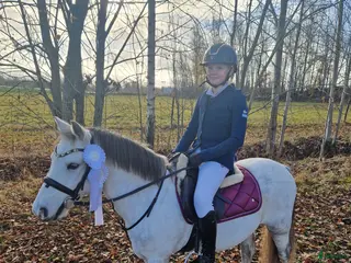 foderhäst Söker c eller d-ponny till min dotter - Annons 1
